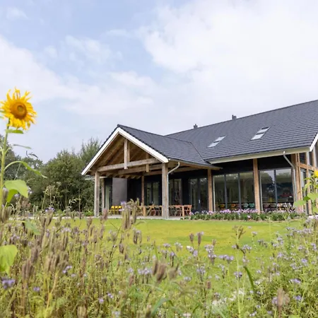 With Heated Pool, Sauna Aalten